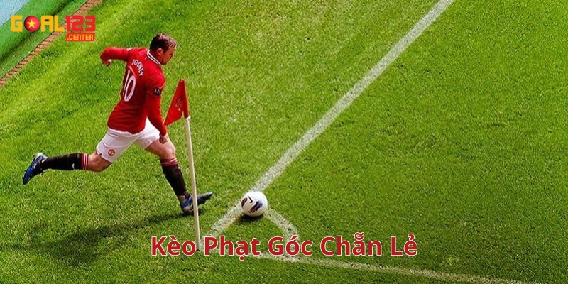 Kèo Phạt Góc Chẵn Lẻ phù hợp cho những ai?