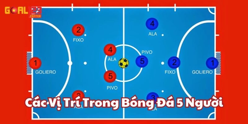 Cùng Khám Phá Chi Tiết Về Các Vị Trí Trong Bóng Đá 5 Người!